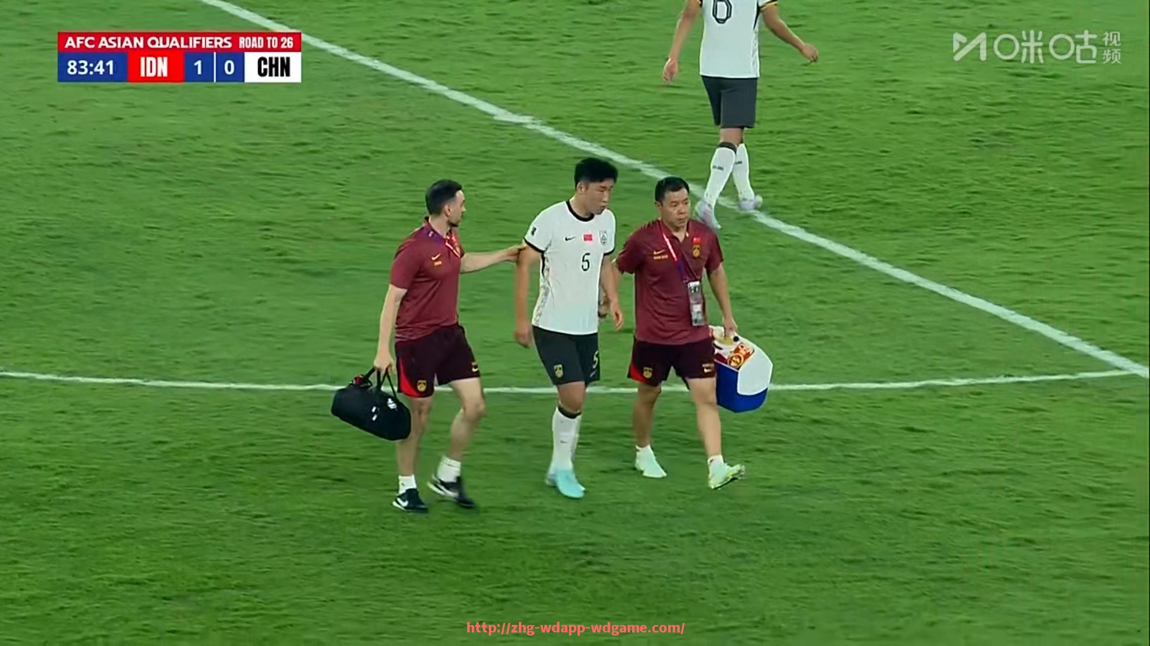 问鼎娱乐官网-法甲马赛蓝白军团：法甲马赛队的“蓝白军团”精神与传统